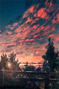 月夕芳华