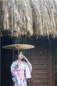 繁花似锦觅安宁周司决沈雨眠网络热门小说_热门小说大全繁花似锦觅安宁(周司决沈雨眠)