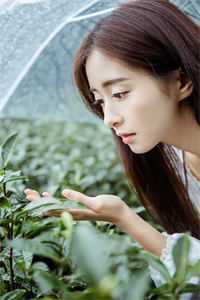 她负责嘎嘎乱杀，他负责宠她上天君无罪苏寄雪全本免费小说阅读_最热门小说排行榜她负责嘎嘎乱杀，他负责宠她上天(君无罪苏寄雪)