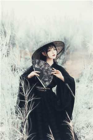 雪夜候卿归