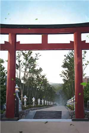 被七零军花诬陷后，我把未婚夫赔他了(孙志东李灵)免费完本小说_免费小说完结版被七零军花诬陷后，我把未婚夫赔他了孙志东李灵