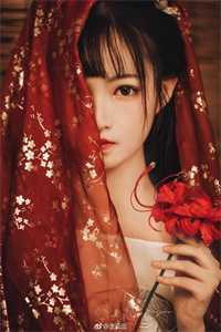 予你一生念长(裴煜川秦婉宁)热门小说大全_热门免费小说予你一生念长裴煜川秦婉宁