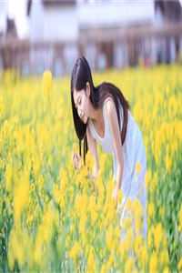 潜龙出渊(江云天韩绮梦)小说全文免费阅读_小说免费阅读潜龙出渊(江云天韩绮梦)