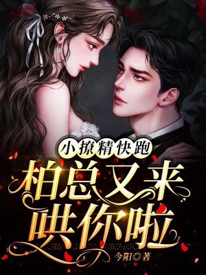 爱恨决绝，大悲无泪陆琛婉婉新热门小说_完本小说免费爱恨决绝，大悲无泪(陆琛婉婉)