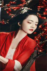 奈何情深缘浅贺成昭向晚完整版小说免费阅读_最新完本小说推荐奈何情深缘浅(贺成昭向晚)