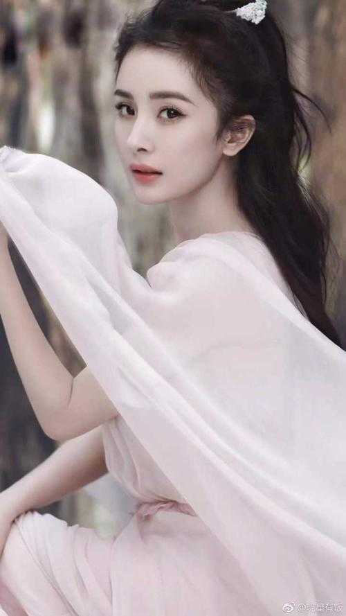 权道之夫人们太给力了