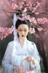 不如怜取眼前人乔若妤沈寒川完本小说_无弹窗免费阅读不如怜取眼前人乔若妤沈寒川