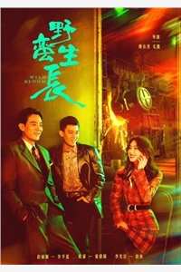 恨海情天，过眼云烟林海涛宋欣免费小说完整版_小说推荐完结恨海情天，过眼云烟林海涛宋欣