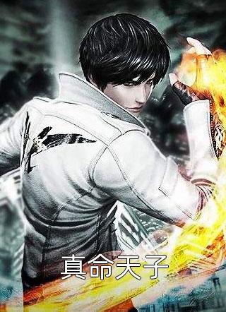 长风不渡我情深