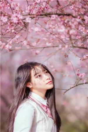 别把我说给他听(傅意欢傅宸深)最新小说全文阅读_完结的小说别把我说给他听傅意欢傅宸深