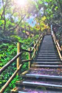 残音已逝空白头(苏瑶音沈逸枫)完本小说免费阅读_小说完结版残音已逝空白头(苏瑶音沈逸枫)