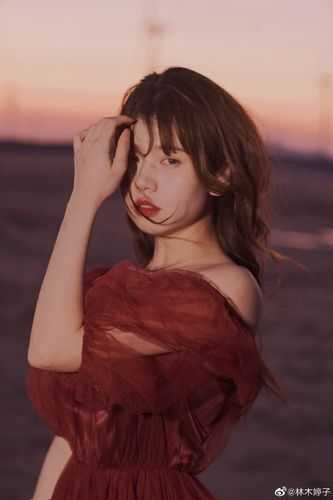 奈何惊鸿入我心