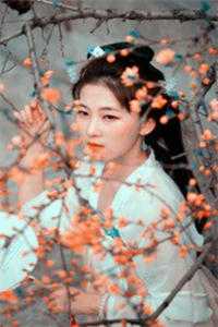 权道之夫人们太给力了