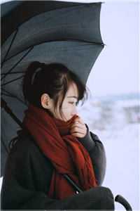 女总裁谈情，我被动入坑林震李若曦小说免费完结_全文免费阅读女总裁谈情，我被动入坑林震李若曦