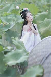 向阳花傅渊苏锐完结好看小说_推荐完结小说向阳花(傅渊苏锐)
