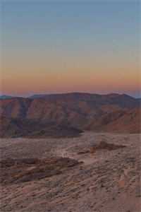 画地为牢(叶棠沈城)免费热门小说_全文免费小说画地为牢叶棠沈城