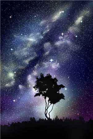 听风吻过盛夏