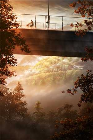 偏我情深一往(姜如音陆斐年)免费小说免费阅读_完本完结小说偏我情深一往(姜如音陆斐年)