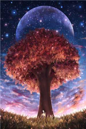 所有星辰都沉默钟锦念赵淮序新热门小说_完本小说阅读所有星辰都沉默(钟锦念赵淮序)