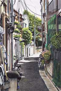 忘川渡魂，花开彼岸本无岸