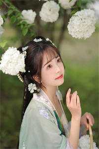 谢尽长安花