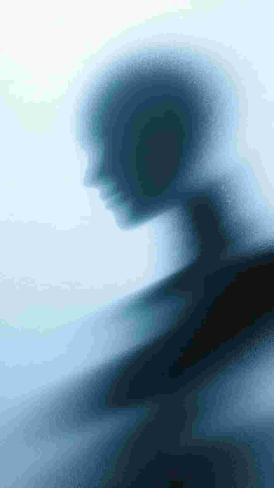 长生：我在掖幽庭风华日月